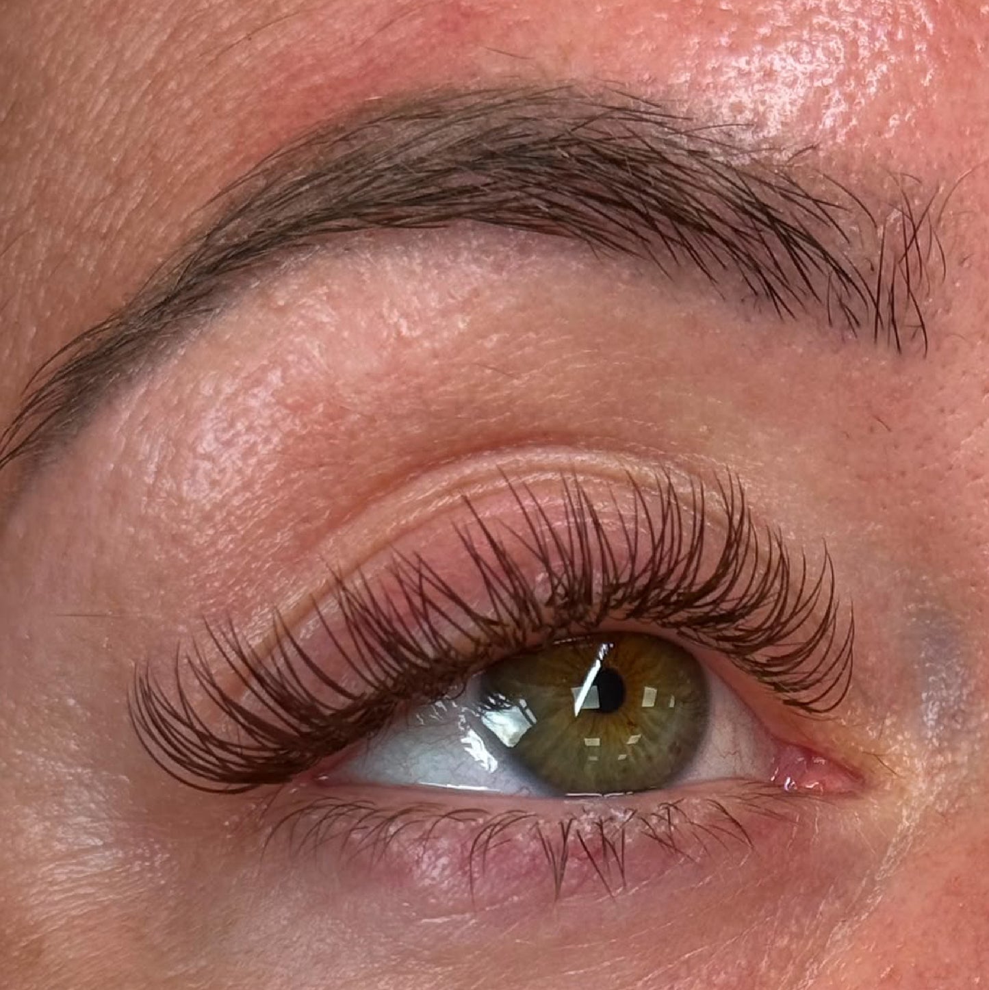 The Individual Lash Course