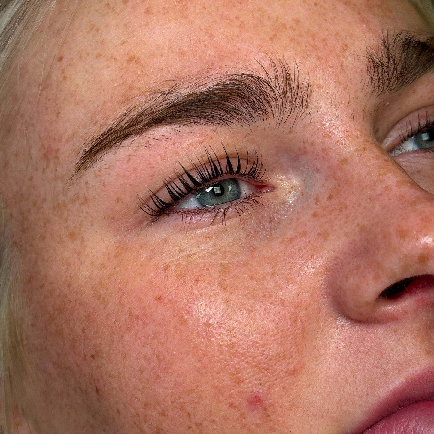 The Lash Lift And Tint Course